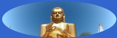 Logo of Sri Lanka Tailored Tours