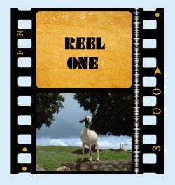 Play Reel One