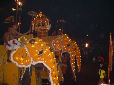 Image:Elephants at Perahera