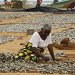 Drying Fish 