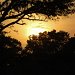 This is a beautiful sunset over Yala