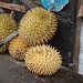 Durian Fruit
