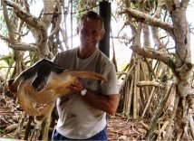 Image: Holding turtle 