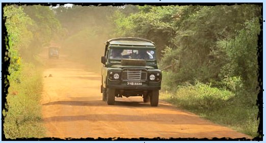 Picture - Safari Jeep